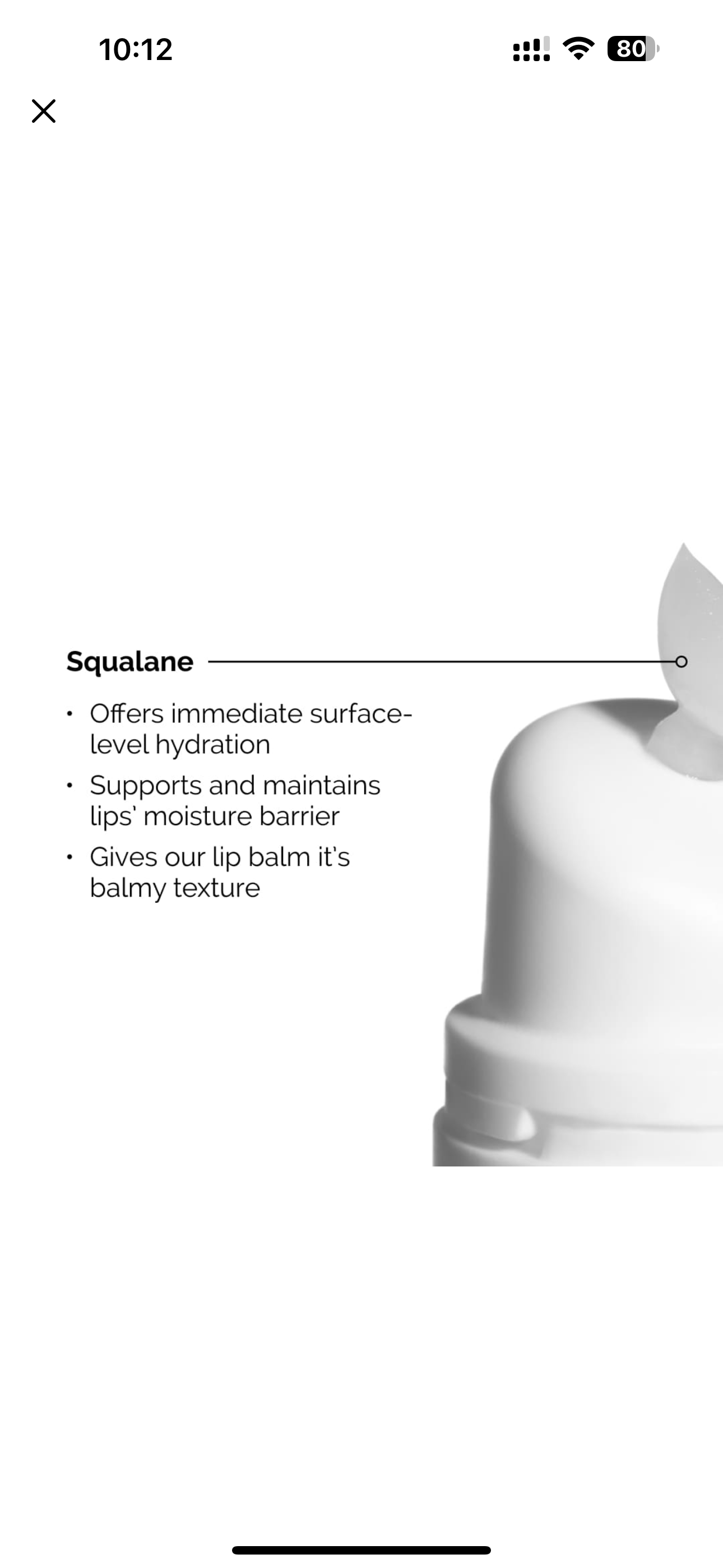 The Ordinary Squalene + Amino acid Lip Balm